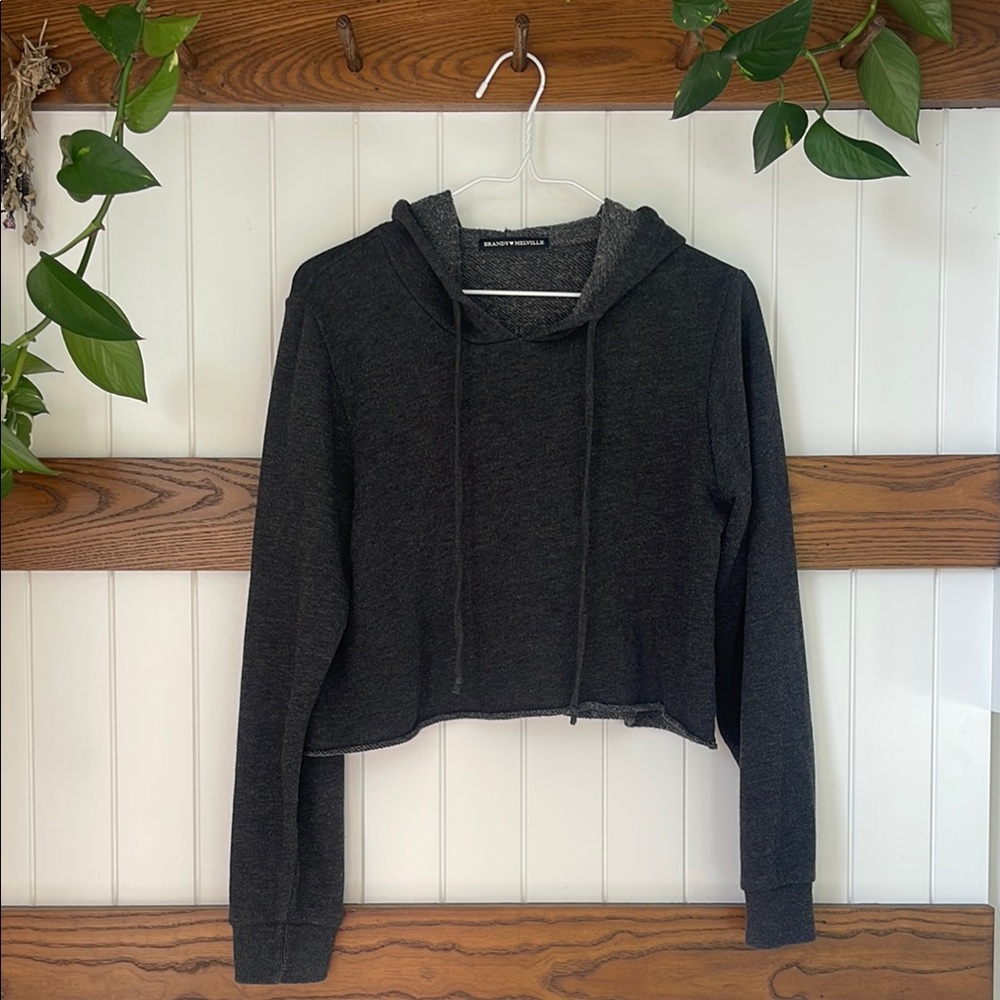 Brandy Melville Women's Gray Cropped Hoodie